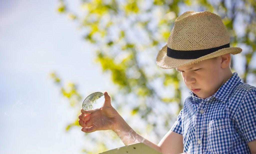 Outdoor STEM Projects for Middle School Students