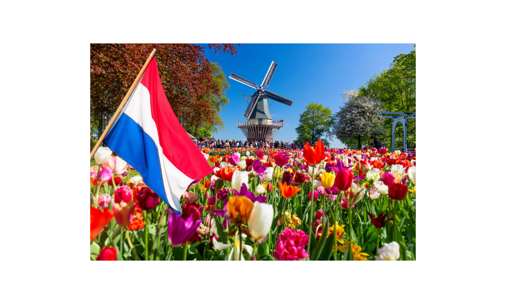 Homeschooling in the Netherlands