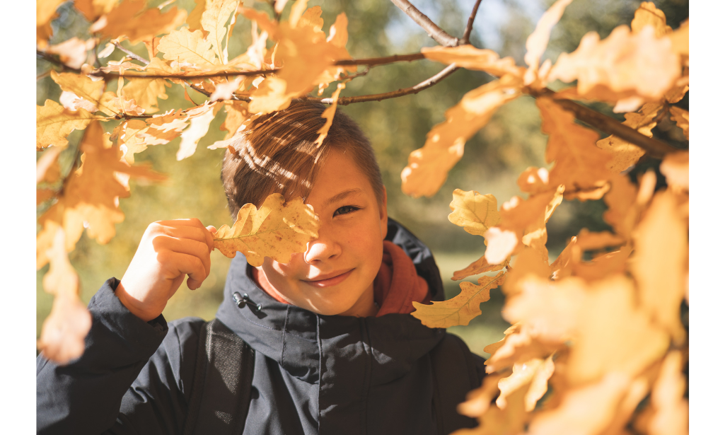 Today’s Lesson Is… Thanksgiving STEM Activities!