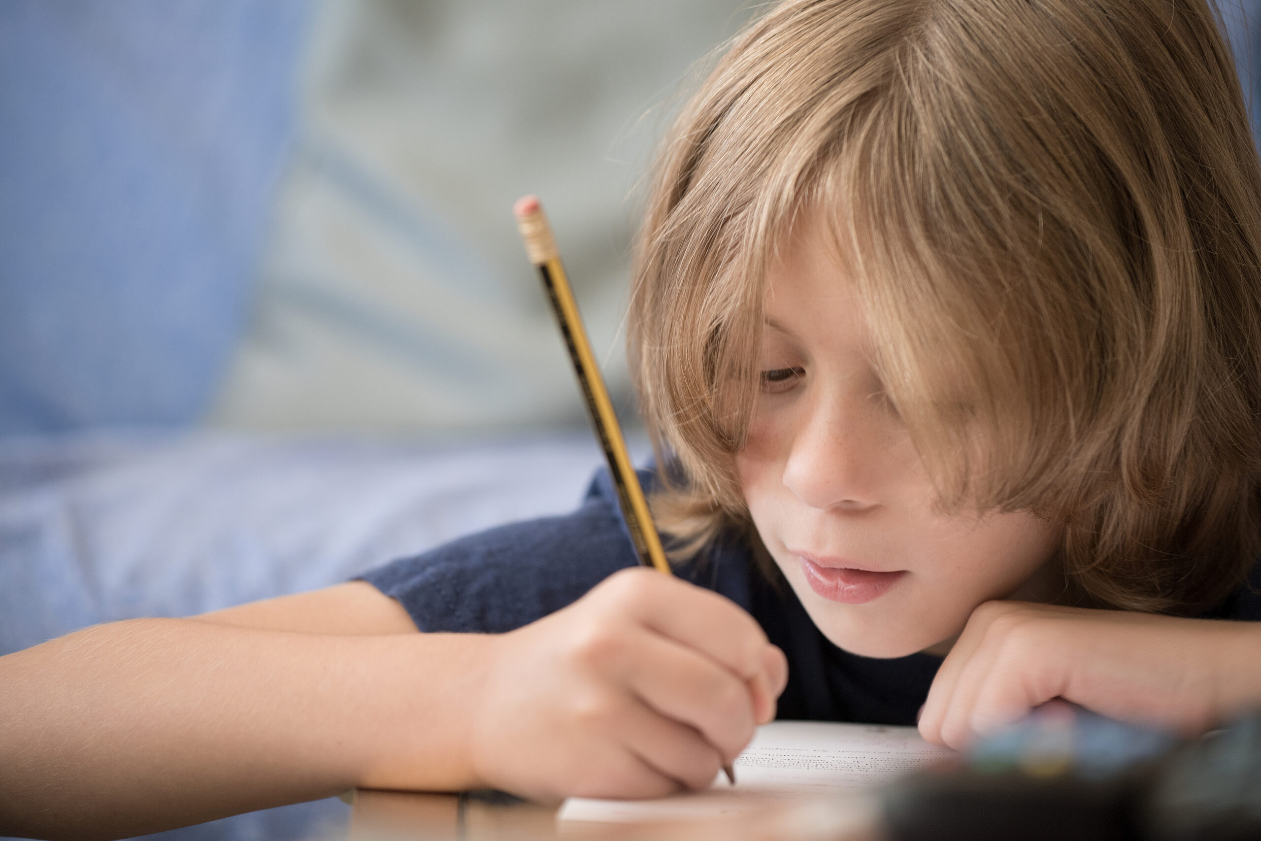 Young boy studying at home